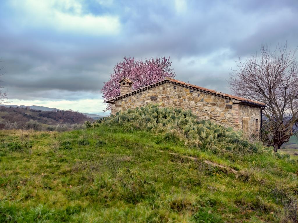 Agriturismo Le Canterie Radicondoli Exterior photo