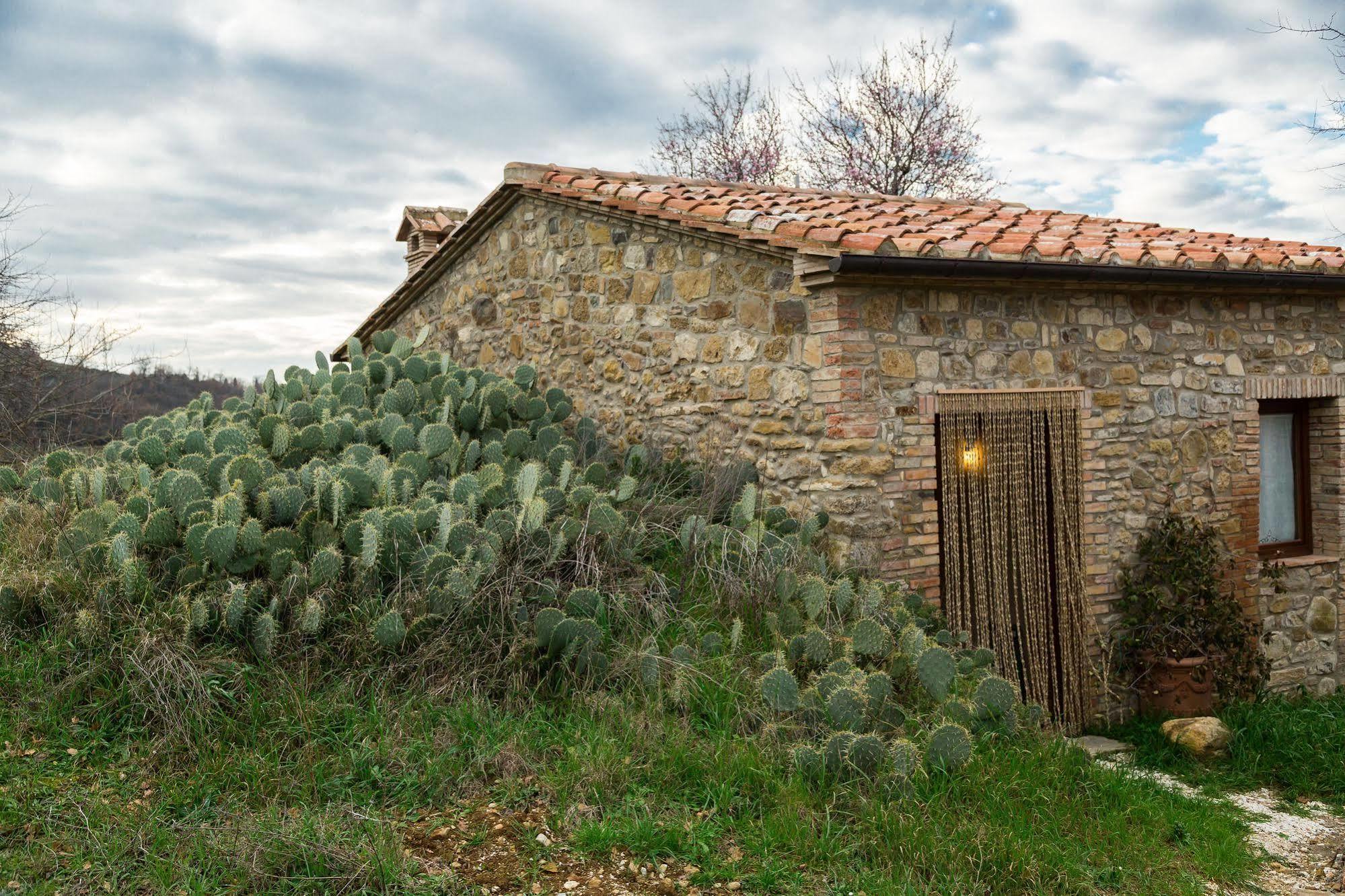 Agriturismo Le Canterie Radicondoli Exterior photo