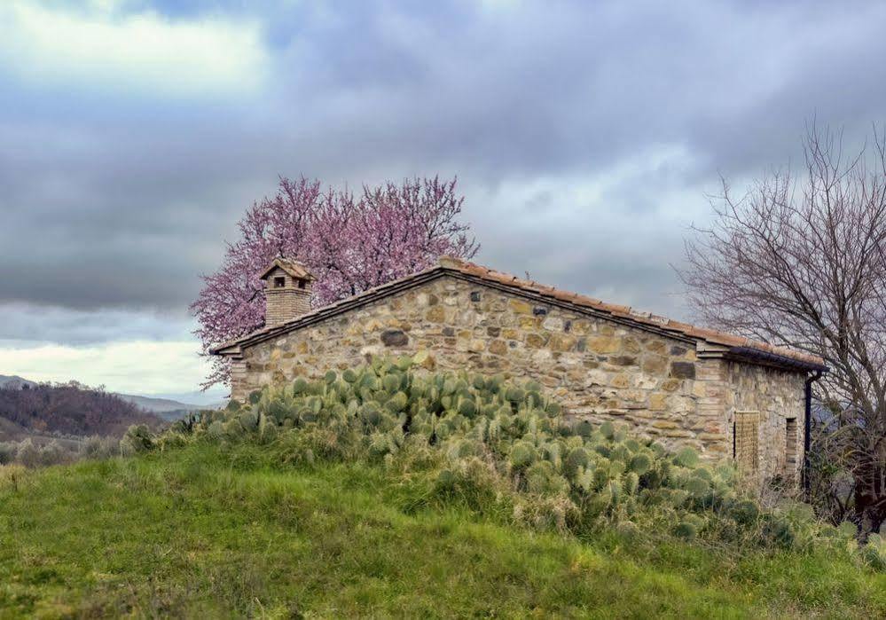 Agriturismo Le Canterie Radicondoli Exterior photo
